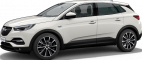 Диски для OPEL Grandland X