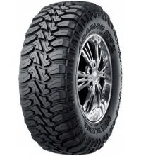 Nexen Roadian MTX RM7